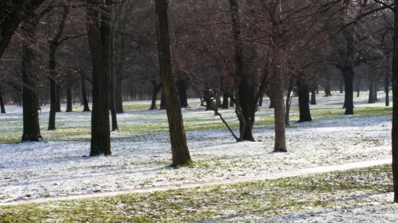 82-Vienna,27 dicembre 2014.JPG